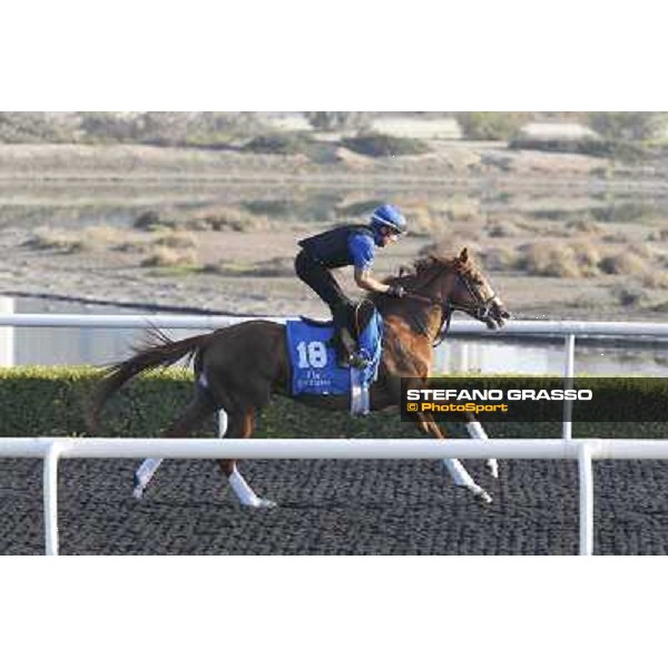 Godolphin Media Morning - Al Biruni Dubai - Al Quoz 23rd march 2011 ph.Stefano Grasso