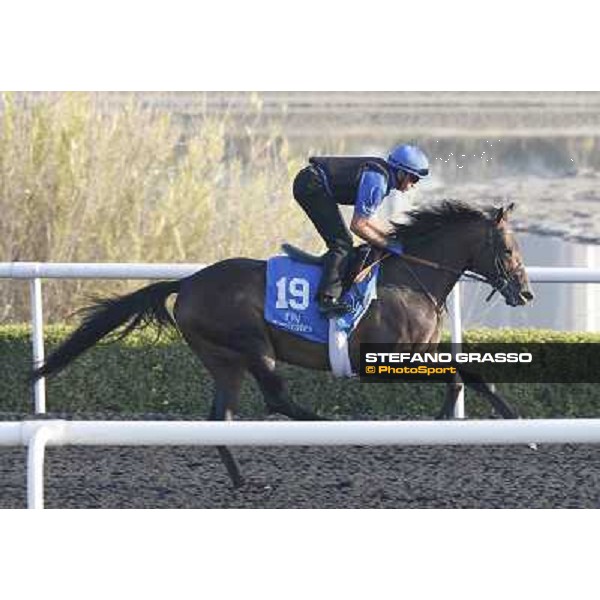 Godolphin Media Morning - Vesuve Dubai - Al Quoz 23rd march 2011 ph.Stefano Grasso
