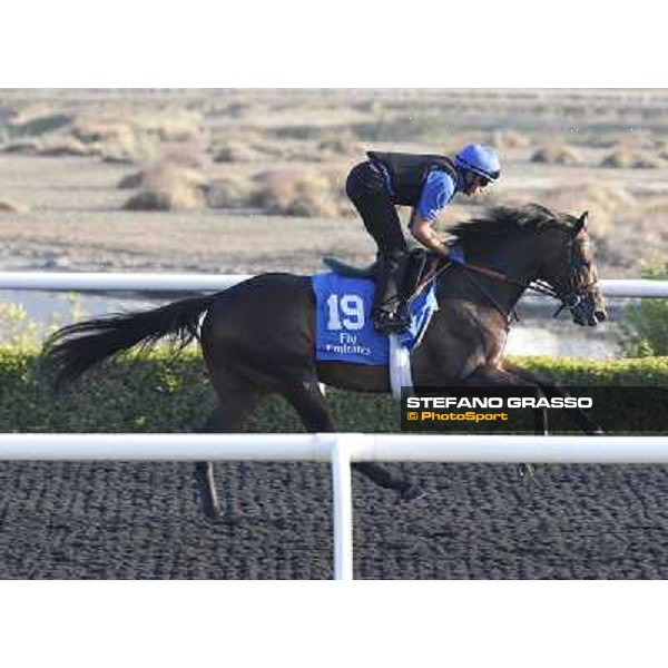 Godolphin Media Morning - Vesuve Dubai - Al Quoz 23rd march 2011 ph.Stefano Grasso