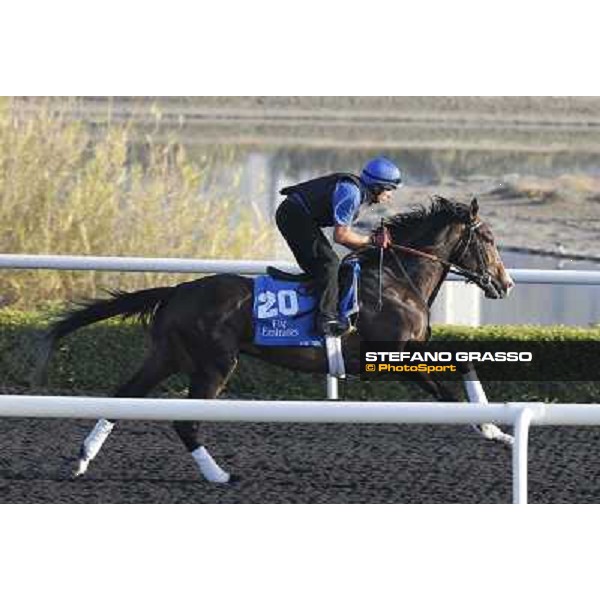 Godolphin Media Morning - Estourah Dubai - Al Quoz 23rd march 2011 ph.Stefano Grasso
