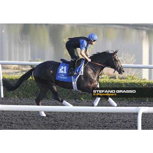 Godolphin Media Morning - Jamr Dubai - Al Quoz 23rd march 2011 ph.Stefano Grasso