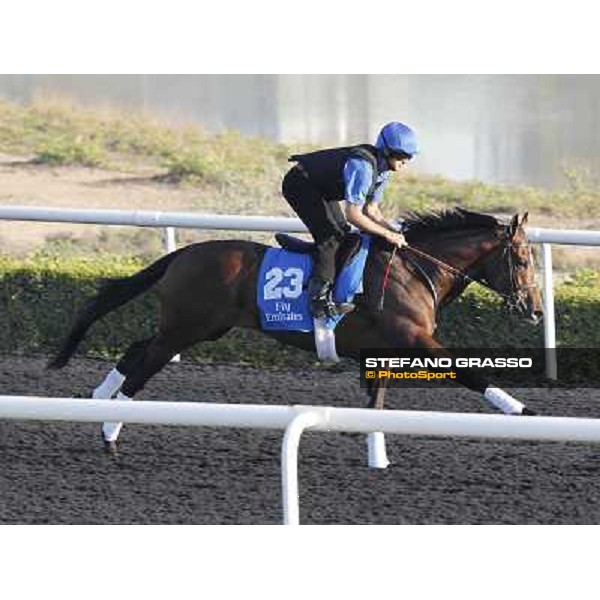 Godolphin Media Morning - Quick Wit Dubai - Al Quoz 23rd march 2011 ph.Stefano Grasso
