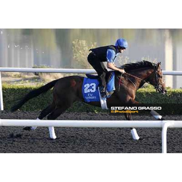 Godolphin Media Morning - Quick Wit Dubai - Al Quoz 23rd march 2011 ph.Stefano Grasso