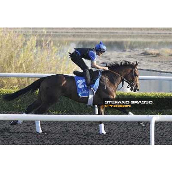 Godolphin Media Morning - Sahafh Dubai - Al Quoz 23rd march 2011 ph.Stefano Grasso