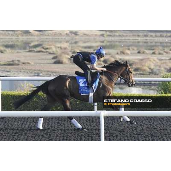 Godolphin Media Morning - Sahafh Dubai - Al Quoz 23rd march 2011 ph.Stefano Grasso