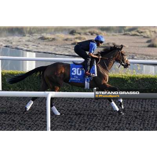 Godolphin Media Morning - Ownwan Dubai - Al Quoz 23rd march 2011 ph.Stefano Grasso