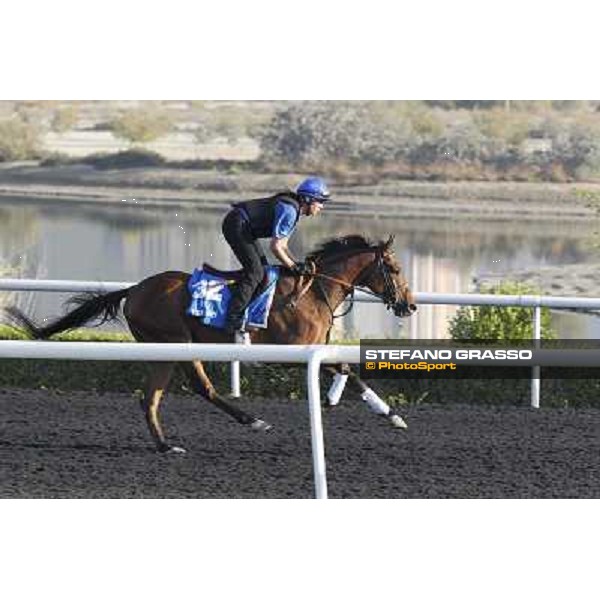 Godolphin Media Morning - Sugar Ray Dubai - Al Quoz 23rd march 2011 ph.Stefano Grasso