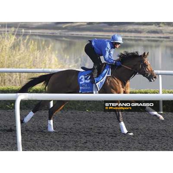 Godolphin Media Morning - Borug Dubai - Al Quoz 23rd march 2011 ph.Stefano Grasso