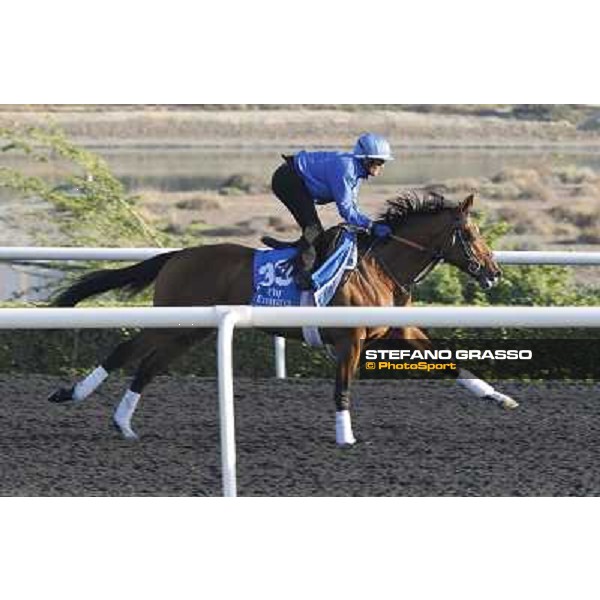 Godolphin Media Morning - Borug Dubai - Al Quoz 23rd march 2011 ph.Stefano Grasso