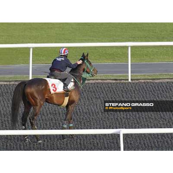 Morning track works at Meydan - Mirco Demuro gives a caress to Victoire Pisa after morning track works Dubai - Meydan 24th march 2011 ph.Stefano Grasso