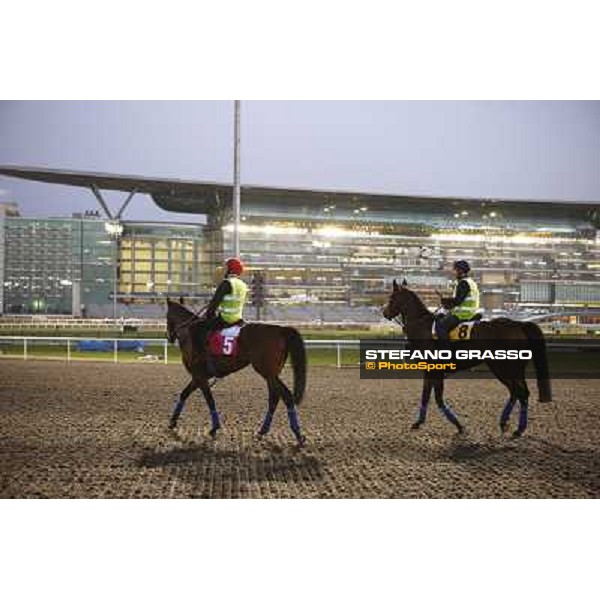Morning track works at Meydan - William Buick on Utley and Tazeez Dubai - Meydan 24th march 2011 ph.Stefano Grasso