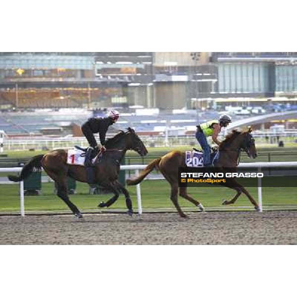 Morning track works at Meydan - Twice Over Dubai - Meydan 24th march 2011 ph.Stefano Grasso