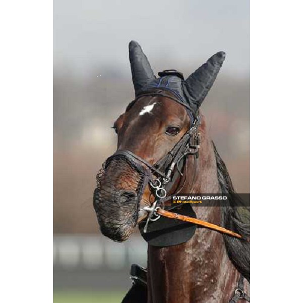 PAris - Amerique 2004 close up for Abano As ph. Stefano Grasso