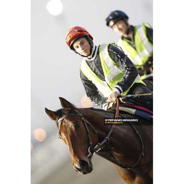 Morning track works at Meydan - William Buick on Utley Dubai - Meydan 24th march 2011 ph.Stefano Grasso