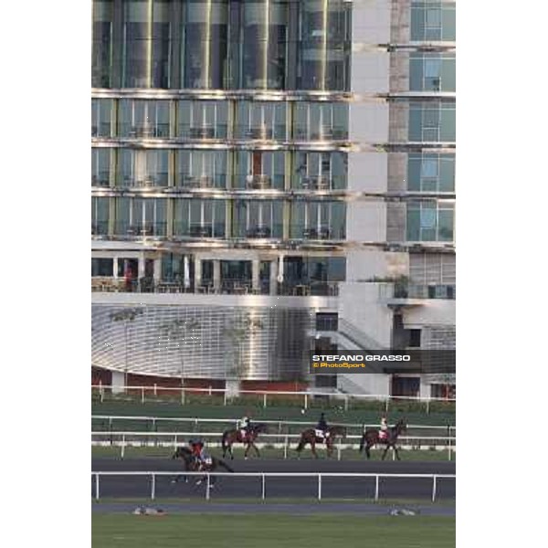 Morning track works at Meydan - Master of Hound, Jamie Spencer on Cape Blanco and Alexander Pope Dubai - Meydan 24th march 2011 ph.Stefano Grasso