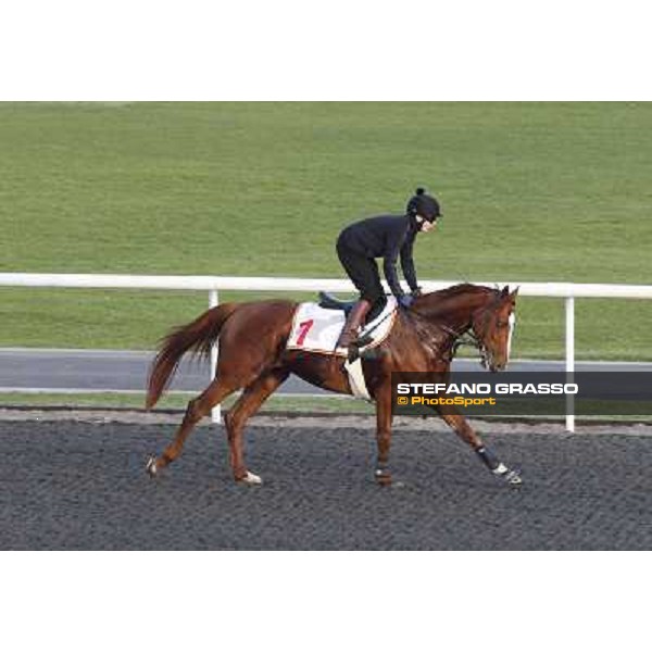 Morning track works at Meydan - Jamie Spencer on Cape Blanco Dubai - Meydan 24th march 2011 ph.Stefano Grasso