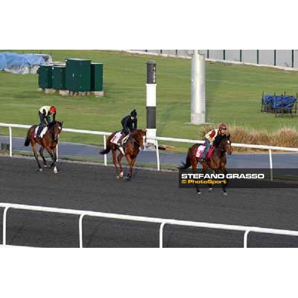 Morning track works at Meydan - Master of Hounds, Cape Blanco and Alexander Pope Dubai - Meydan 24th march 2011 ph.Stefano Grasso