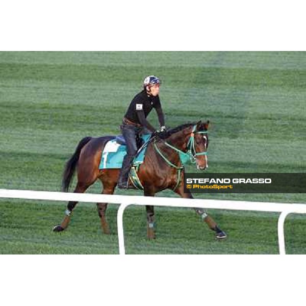 Morning track works at Meydan - Rulership Dubai - Meydan 24th march 2011 ph.Stefano Grasso