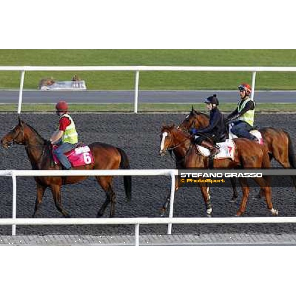 Morning track works at Meydan - Master of Hound, Jamie Spencer on Cape Blanco and Alexander Pope Dubai - Meydan 24th march 2011 ph.Stefano Grasso