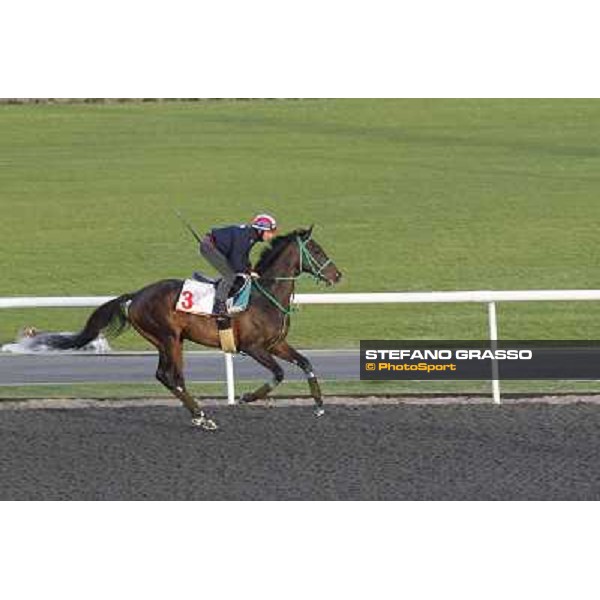 Morning track works at Meydan - Mirco Demuro on Victoire Pisa Dubai - Meydan 24th march 2011 ph.Stefano Grasso