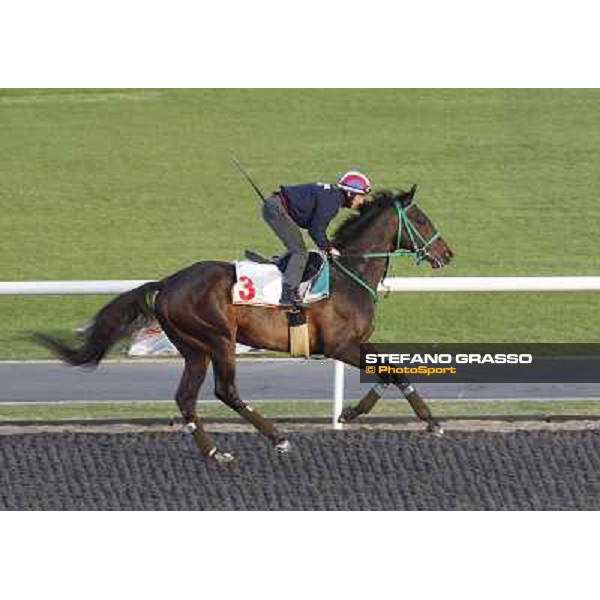 Morning track works at Meydan - Mirco Demuro on Victoire Pisa Dubai - Meydan 24th march 2011 ph.Stefano Grasso