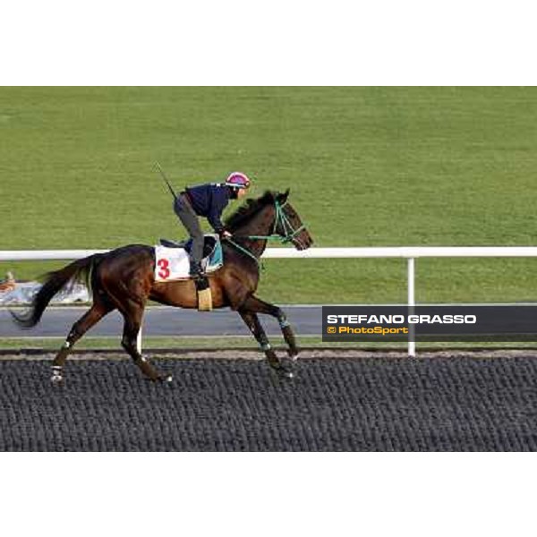 Mirco Demuro on Victoire Pisa during a light morning work at Meydan racetrack Meydan, 24th march 2011 ph.Stefano Grasso