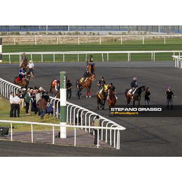 Morning track works at Meydan - Mirco Demuro on Victoire Pisa (3) prepares for the morning trackworks Dubai - Meydan 24th march 2011 ph.Stefano Grasso