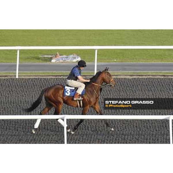 Morning track works at Meydan - Make Music for Me Dubai - Meydan 24th march 2011 ph.Stefano Grasso