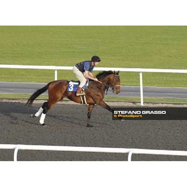 Morning track works at Meydan - Make Music for Me Dubai - Meydan 24th march 2011 ph.Stefano Grasso