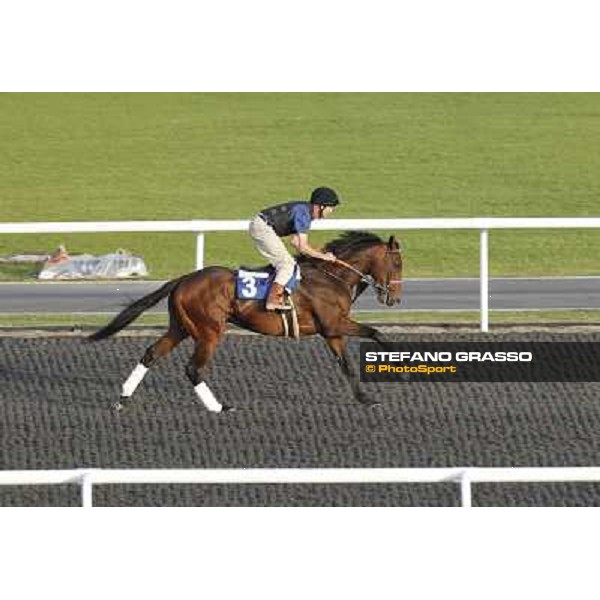 Morning track works at Meydan - Make Music for Me Dubai - Meydan 24th march 2011 ph.Stefano Grasso