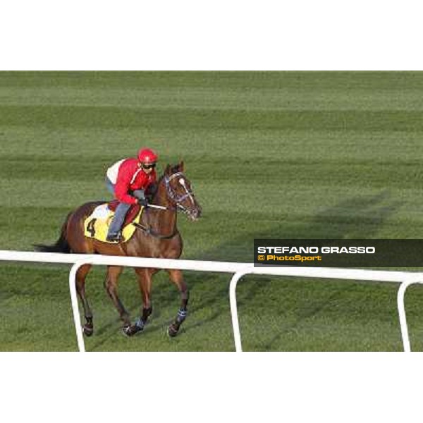 Morning track works at Meydan - Better than Ever Dubai - Meydan 24th march 2011 ph.Stefano Grasso
