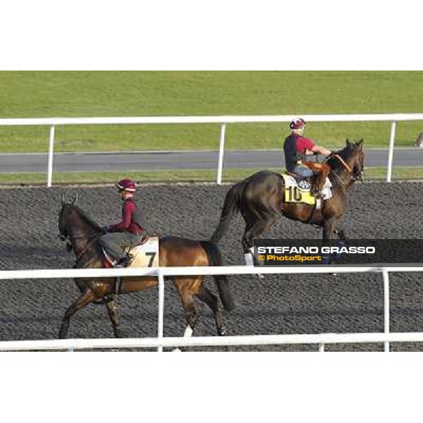 Morning track works at Meydan - Sunny King (7) and Victors Cry Dubai - Meydan 24th march 2011 ph.Stefano Grasso