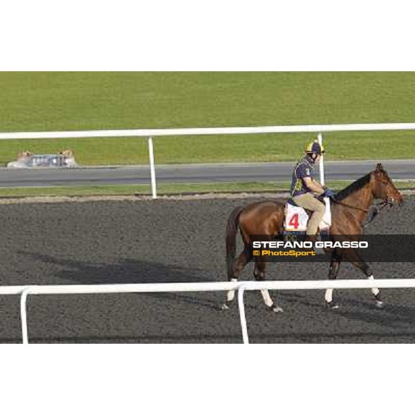 Morning track works at Meydan - Gio Ponti Dubai - Meydan 24th march 2011 ph.Stefano Grasso