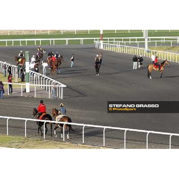 Morning track works at Meydan Dubai - Meydan 24th march 2011 ph.Stefano Grasso