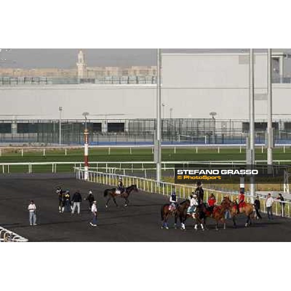 Morning track works at Meydan - morning trackworks Dubai - Meydan 24th march 2011 ph.Stefano Grasso
