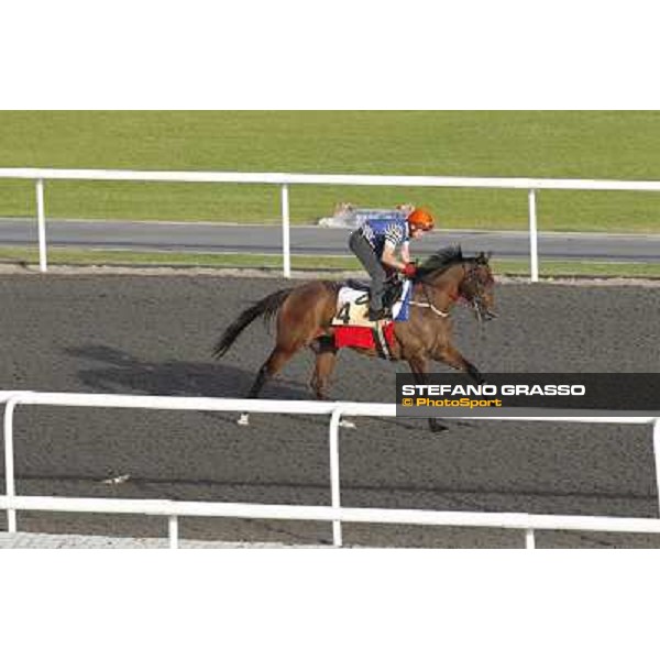 Morning track works at Meydan - Rocket Man Dubai - Meydan 24th march 2011 ph.Stefano Grasso