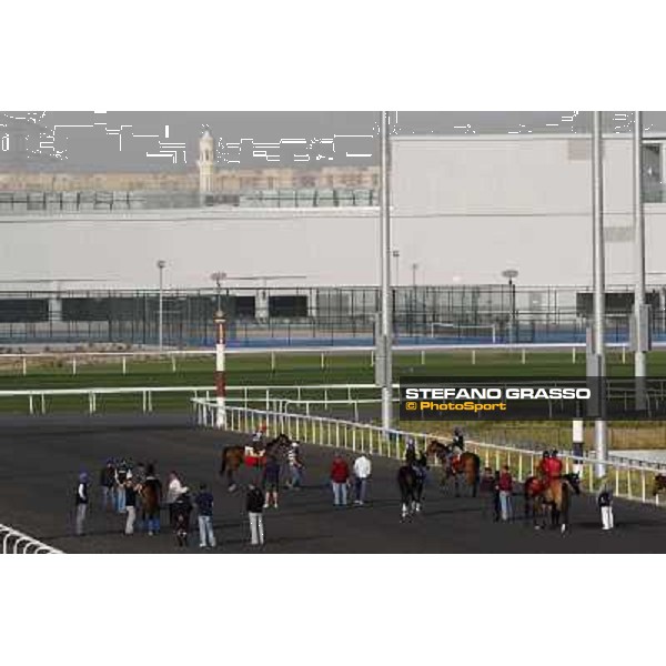 Morning track works at Meydan Dubai - Meydan 24th march 2011 ph.Stefano Grasso