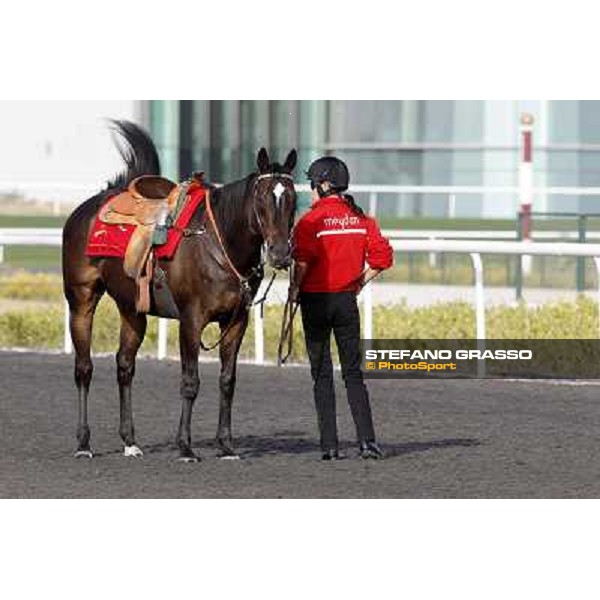 Morning track works at Meydan - waiting for the morning track works Dubai - Meydan 24th march 2011 ph.Stefano Grasso