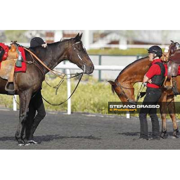 Morning track works at Meydan - waiting for morning track works Dubai - Meydan 24th march 2011 ph.Stefano Grasso