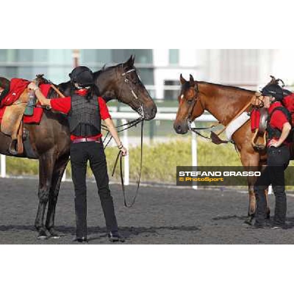 Morning track works at Meydan - waiting for the morning works Dubai - Meydan 24th march 2011 ph.Stefano Grasso