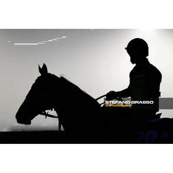 Morning track works at Meydan on friday 25th in a really foggy day Dubai - Meydan 25th march 2011 ph.Stefano Grasso