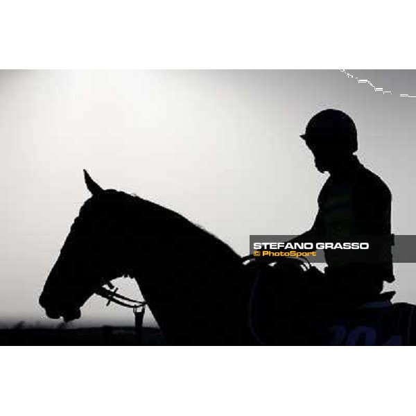 Morning track works at Meydan on friday 25th in a really foggy day Dubai - Meydan 25th march 2011 ph.Stefano Grasso