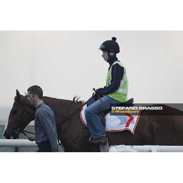 Morning track works at Meydan on friday 25th - Jamie Spencer on Cape Blanco prepares for morning track works in a really foggy day Dubai - Meydan 25th march 2011 ph.Stefano Grasso