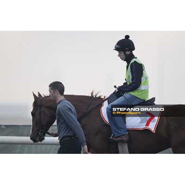 Morning track works at Meydan on friday 25th - Jamie Spencer on Cape Blanco prepares for morning track works in a really foggy day Dubai - Meydan 25th march 2011 ph.Stefano Grasso