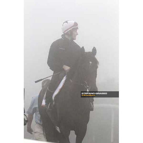 Morning track works at Meydan on friday 25th - Twice Over Dubai - Meydan 25th march 2011 ph.Stefano Grasso