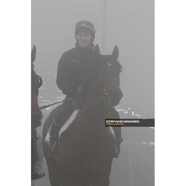 Morning track works at Meydan on friday 25th Dubai - Meydan 25th march 2011 ph.Stefano Grasso