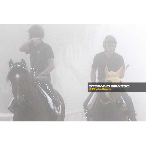 Morning track works at Meydan on friday 25th - Buena Vista and Transcend come back to the stable after morning track works Dubai - Meydan 25th march 2011 ph.Stefano Grasso