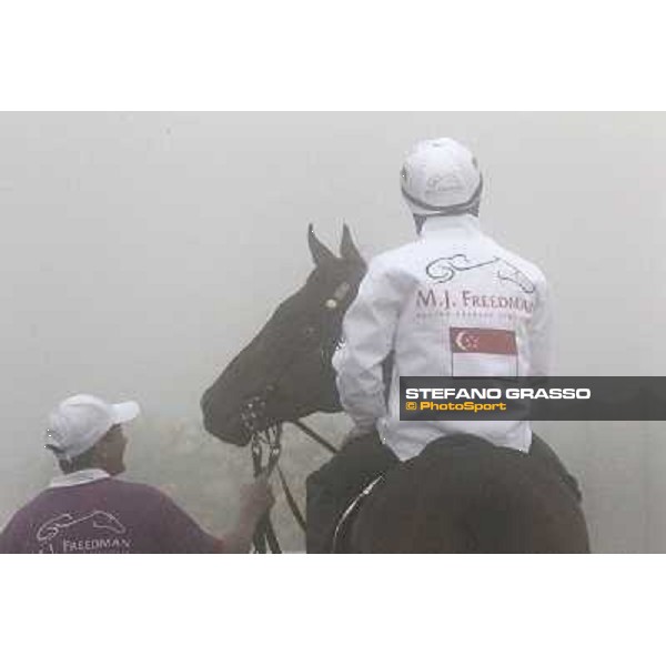 Morning track works at Meydan on friday 25th - Better be the One Dubai - Meydan 25th march 2011 ph.Stefano Grasso