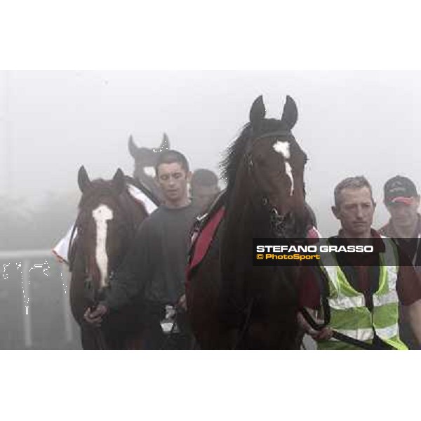 Morning track works at Meydan on friday 25th - O\'Brien horses come back to the stable Dubai - Meydan 25th march 2011 ph.Stefano Grasso