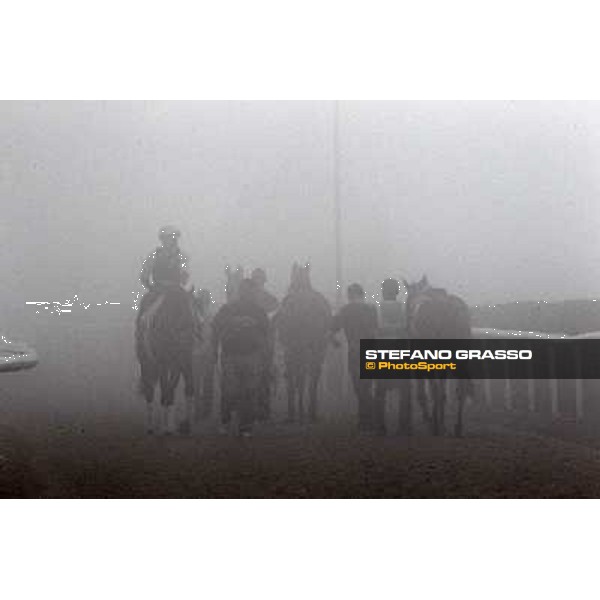Morning track works at Meydan on friday 25th - horses return honme in a really foggy day Dubai - Meydan 25th march 2011 ph.Stefano Grasso